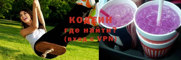 дживик Богородск