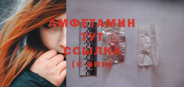 дживик Богородск