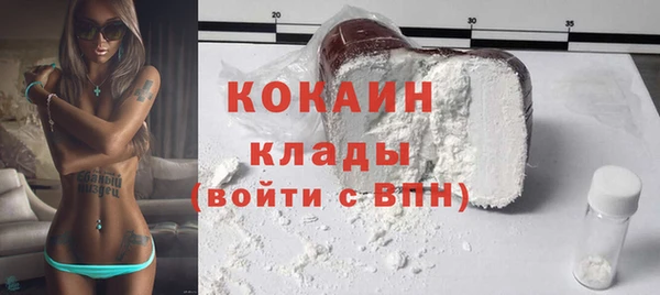 ECSTASY Богданович