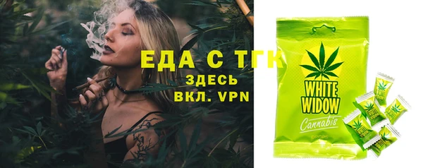 крисы Бородино