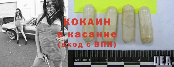 mdpv Богородицк