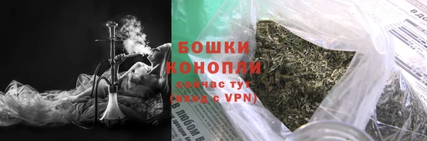 дживик Богородск