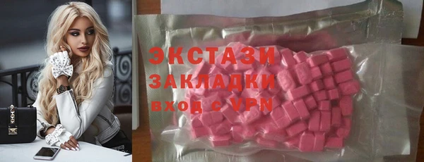 ECSTASY Богданович