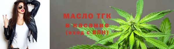 mdpv Богородицк