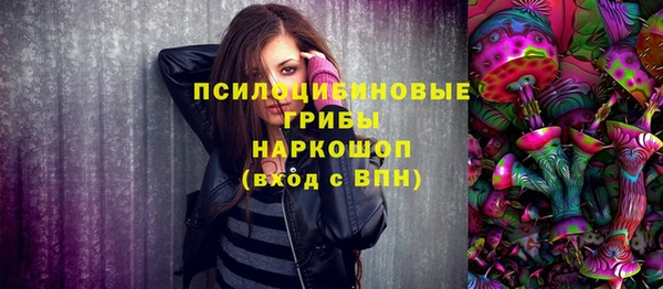дживик Богородск
