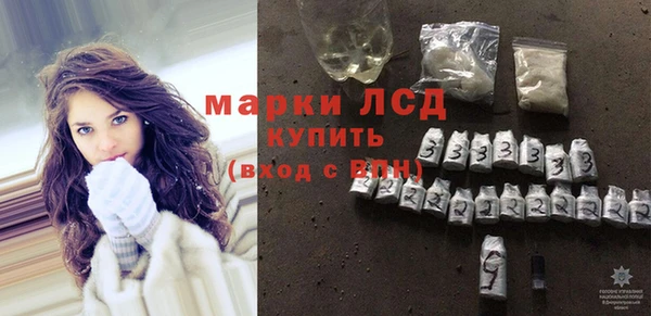 ECSTASY Богданович