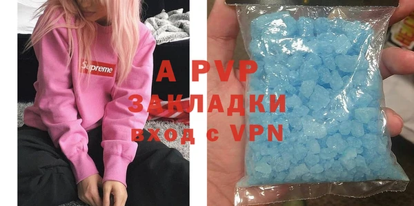 ECSTASY Богданович