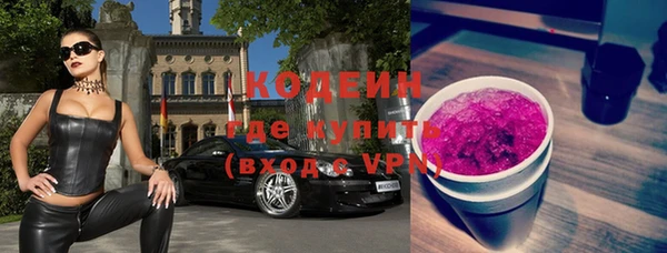 крисы Бородино