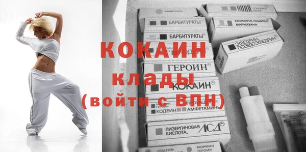 mdpv Богородицк