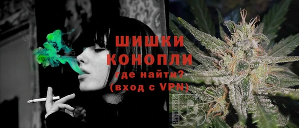 mdpv Богородицк
