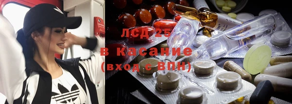 ECSTASY Богданович